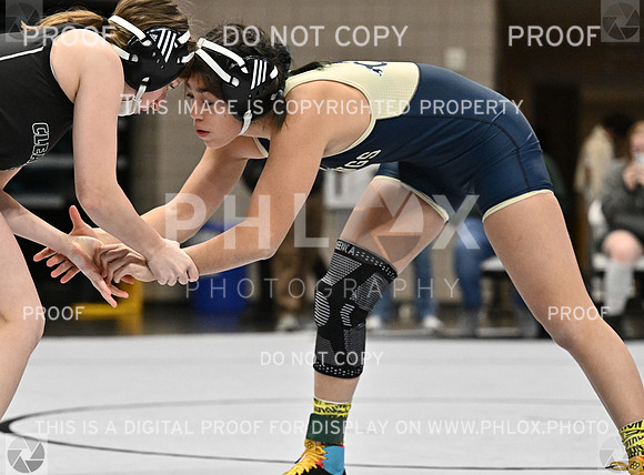 DLS_4222