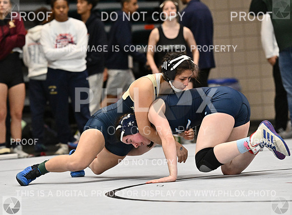 DLS_4166