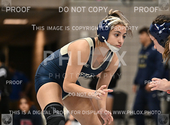 DLS_4028