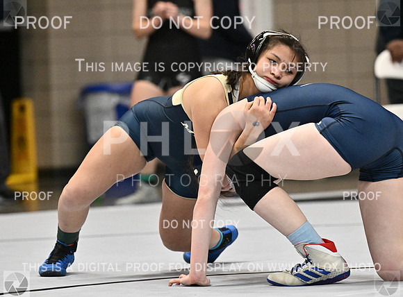 DLS_4190