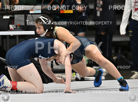 DLS_4171