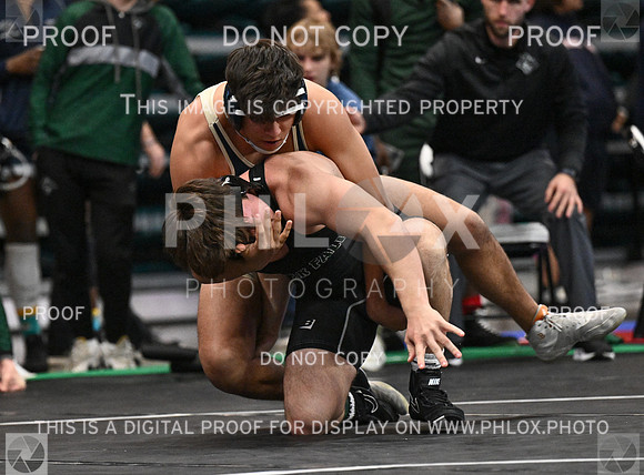 DLS_4336