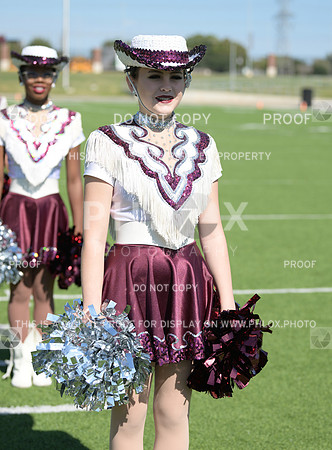 DLS_4004
