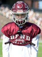DLS_3930