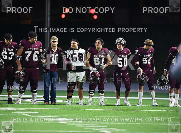 DLS_8152