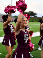 FDS_4105