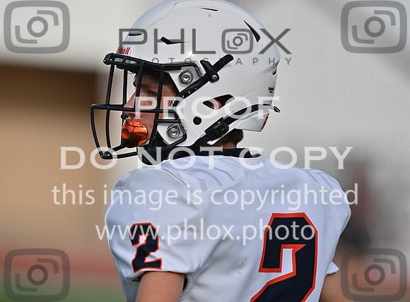 DLS_6715