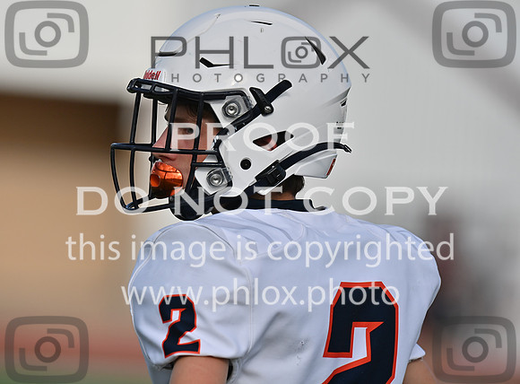 DLS_6714