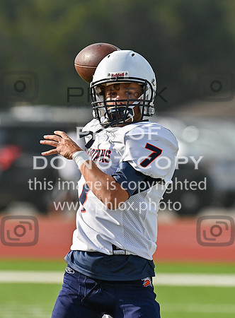 DLS_6687