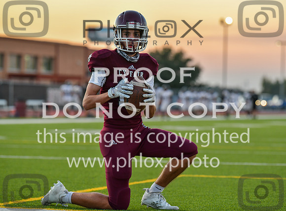 DLS_7512