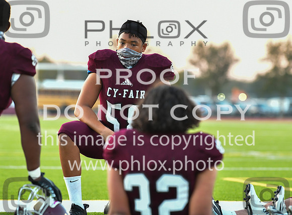 DLS_7444