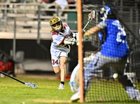 DLS_5456