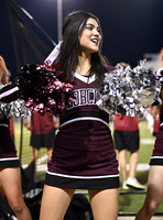 DLS_0071