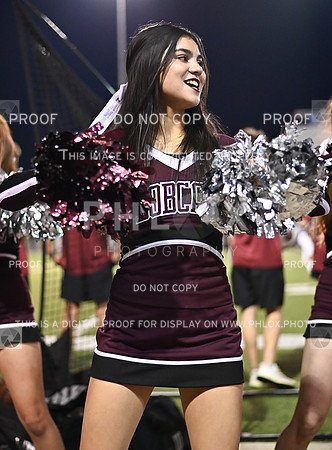 DLS_0071