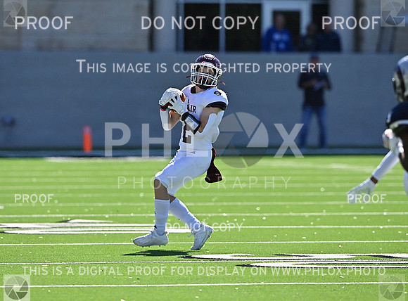 DLS_3094