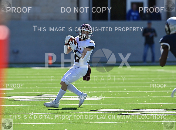 DLS_3095