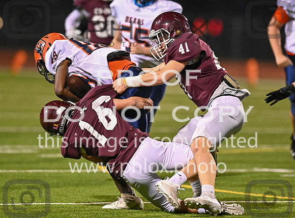 DLS_7099