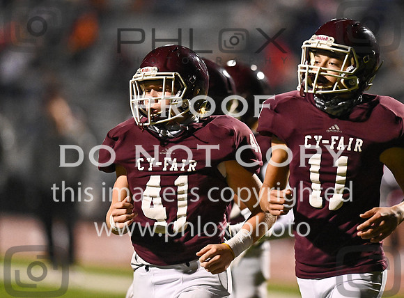 DLS_7151