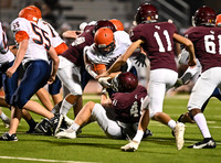 DLS_6838