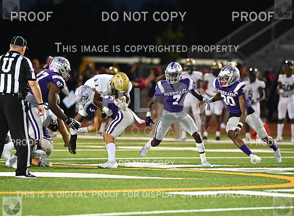 DLS_3113