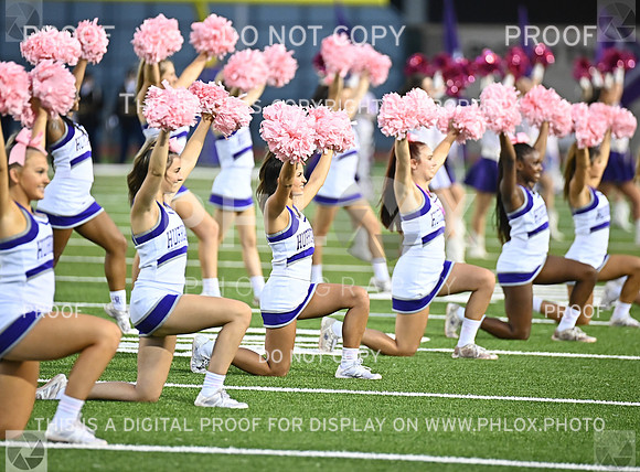 DLS_3095