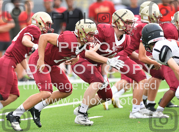TOM_1498