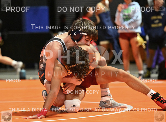 DLS_5478