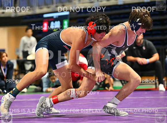 DLS_7347-2