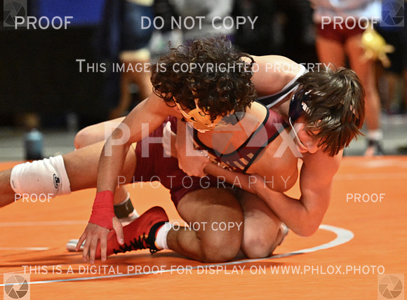 DLS_5479