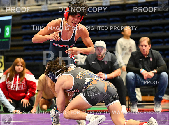 DLS_7349-2