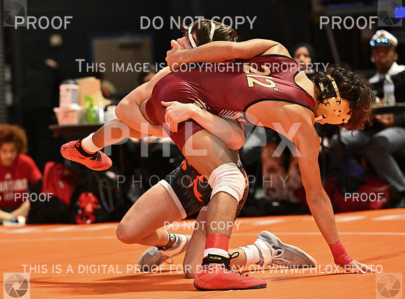 DLS_5330