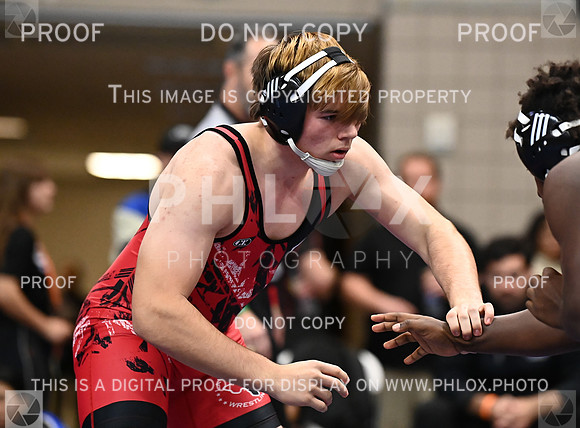 DLS_9281