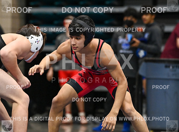 DLS_9030