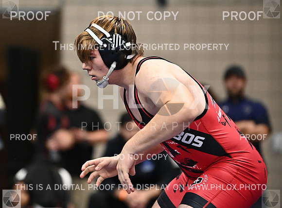 DLS_9284