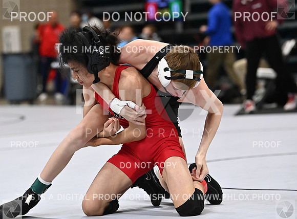 DLS_8887