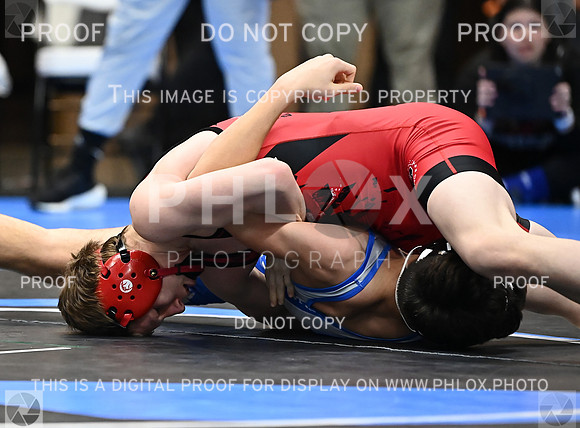 DLS_9067
