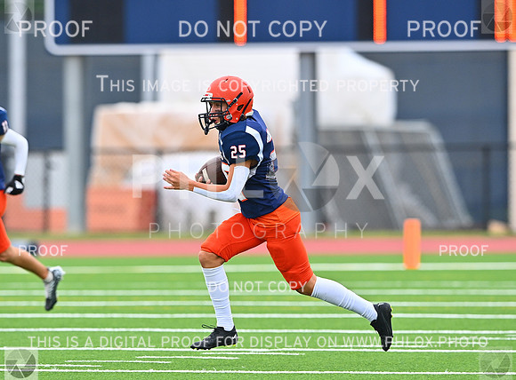 DLS_4904