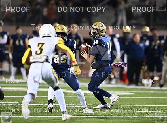DLS_8517