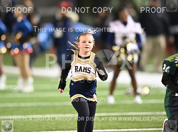 DLS_8431