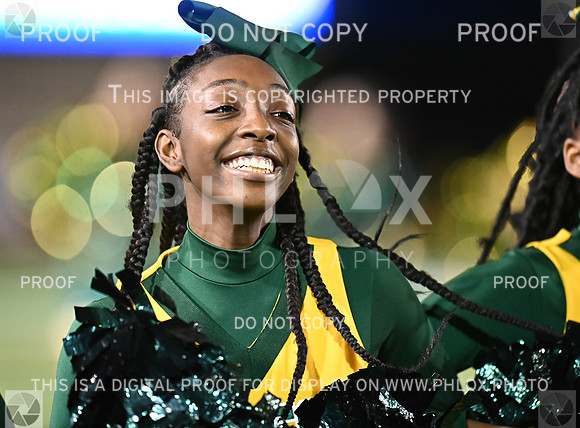 DLS_8381