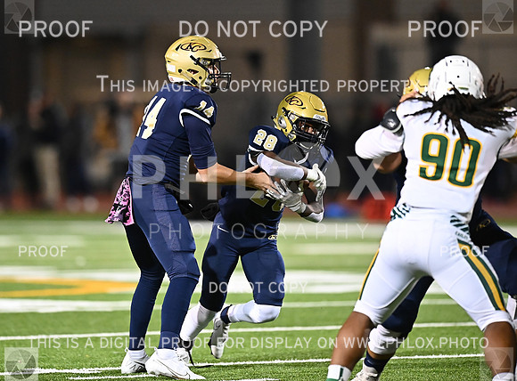 DLS_8556