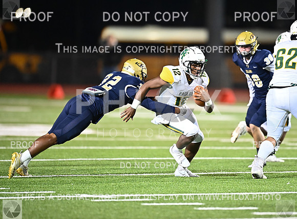 DLS_8466