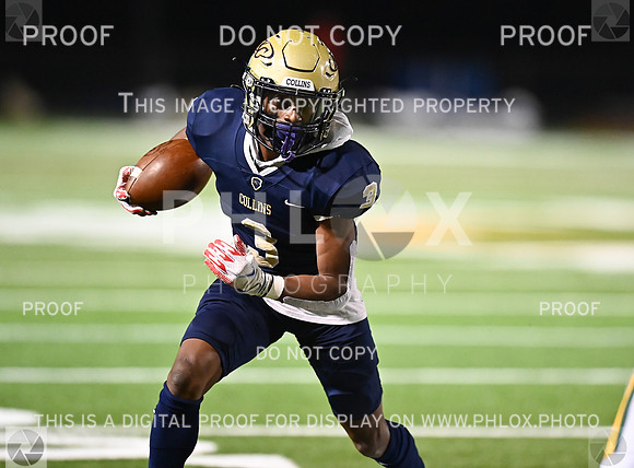 DLS_8520