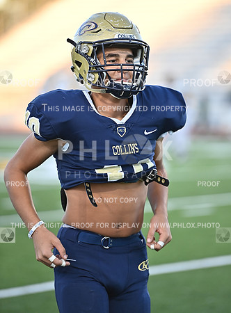 DLS_8326