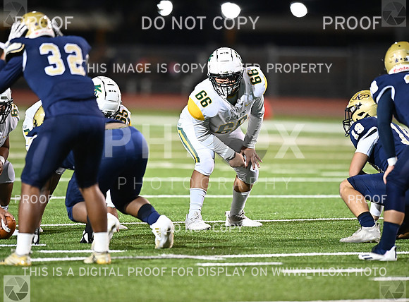 DLS_8499