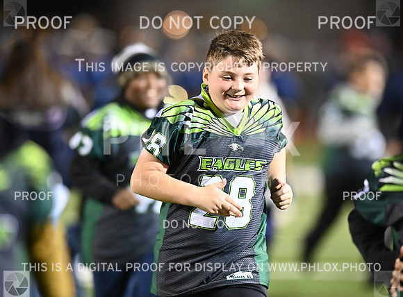 DLS_8421