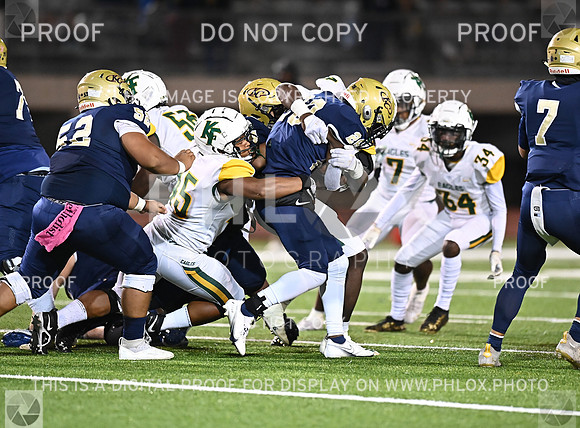 DLS_8507