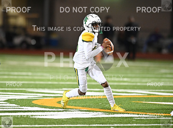DLS_8623