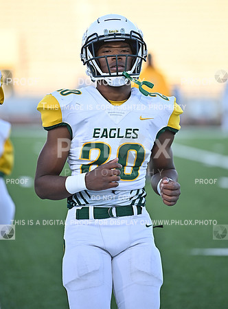 DLS_8304