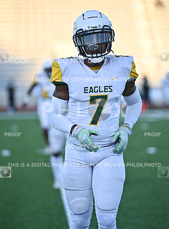 DLS_8309